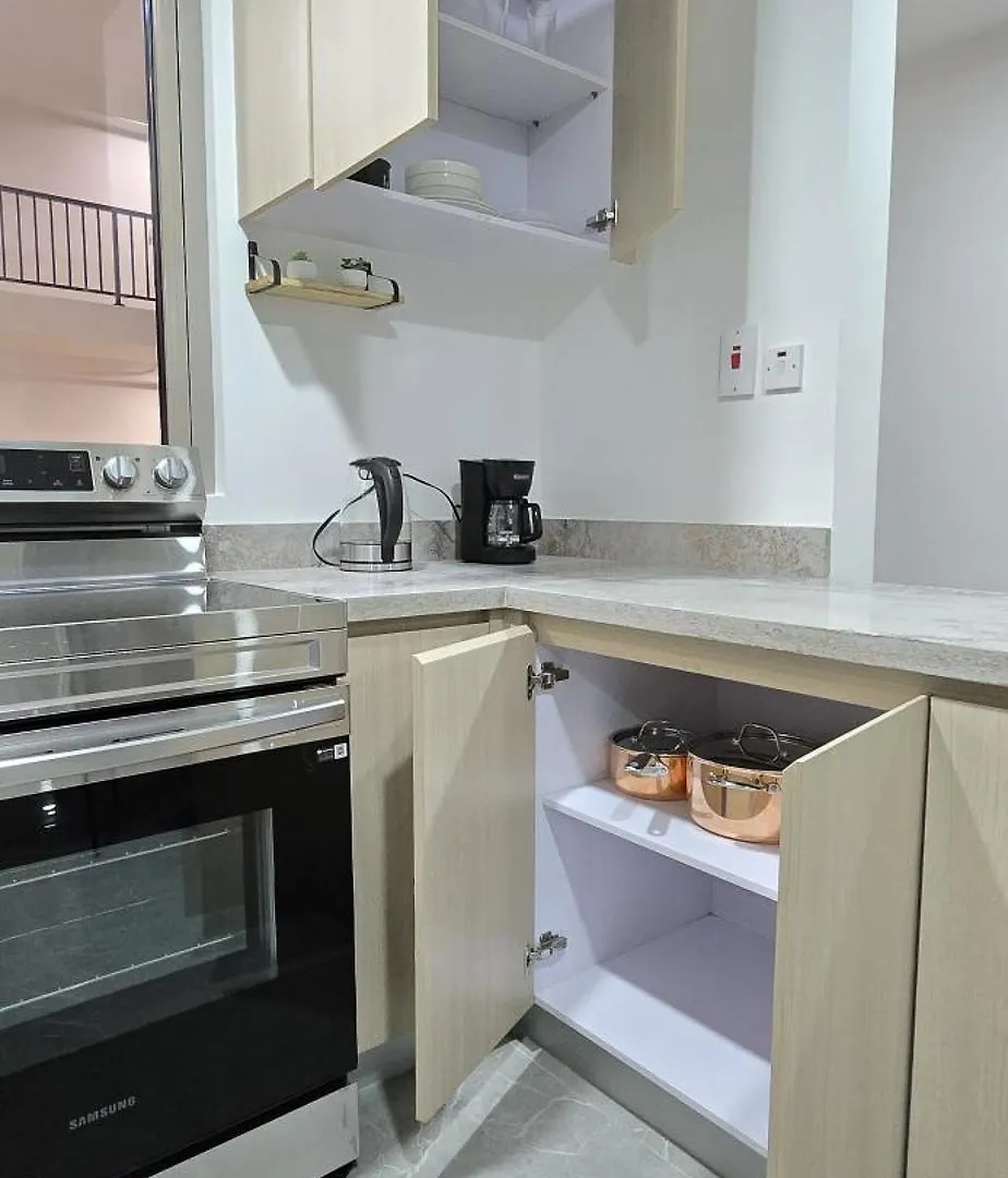 Ocsoasis Apartment Kingston