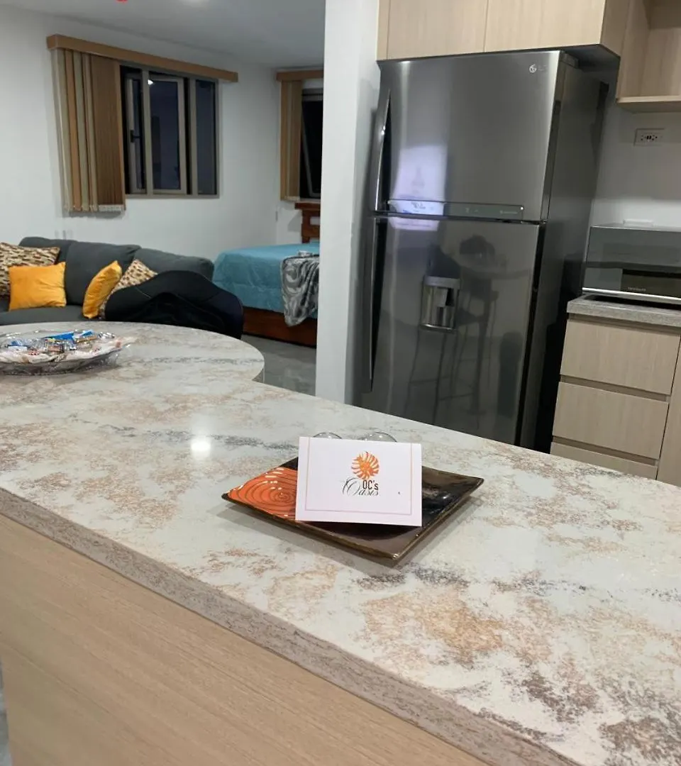 Ocsoasis Apartman Kingston
